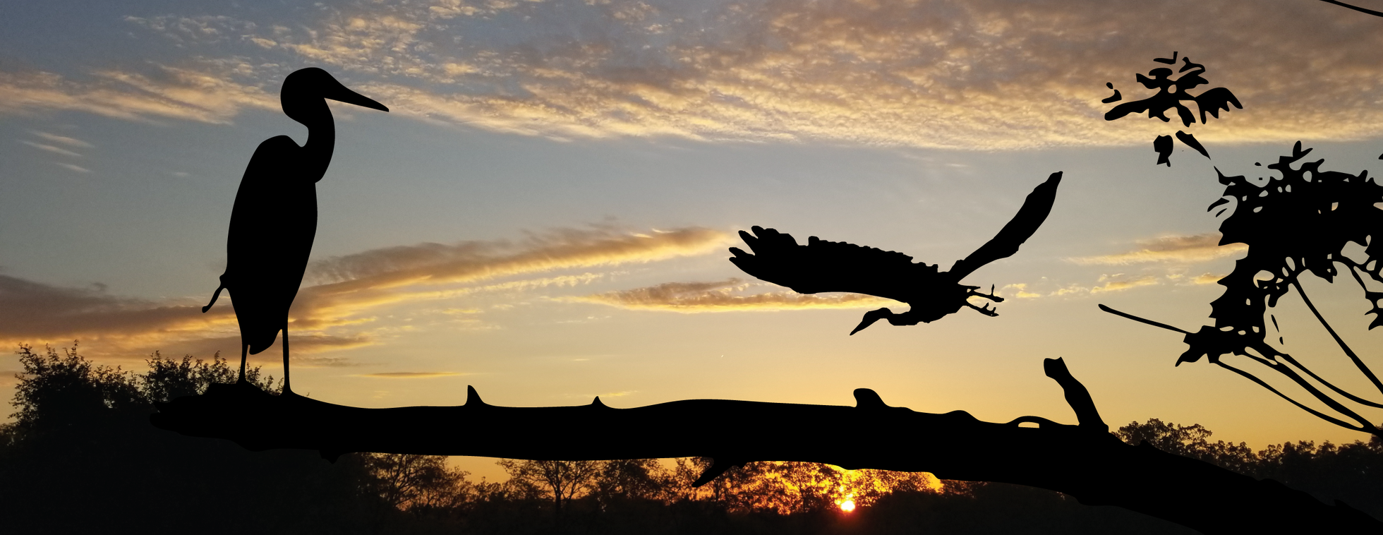 Wings of Iowa Gala 2026 Sponsorship